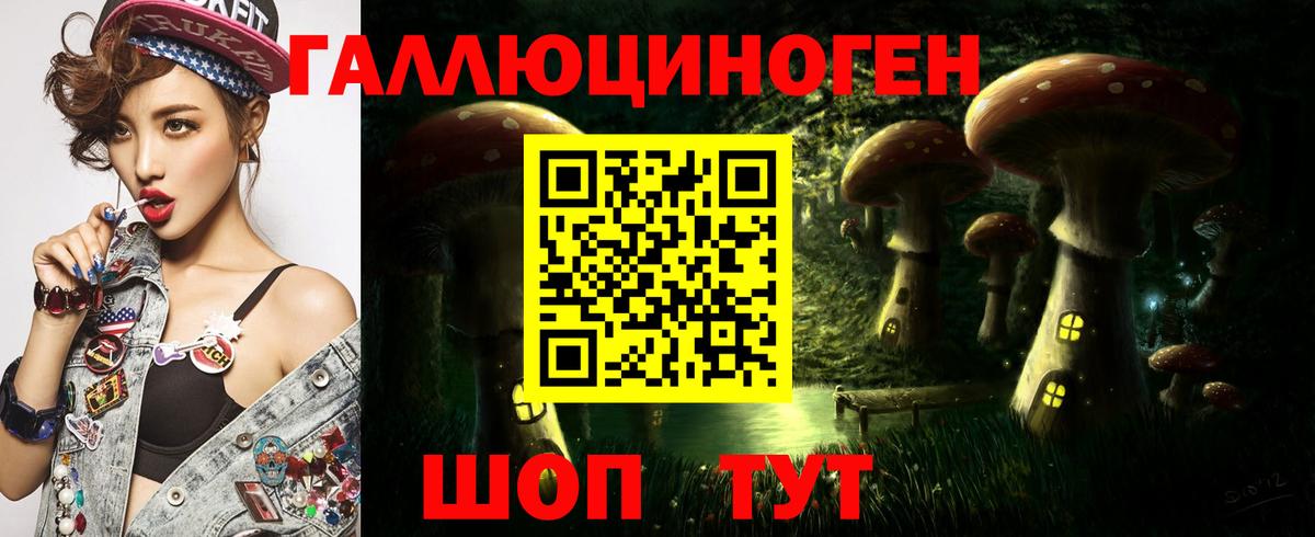 Псилоцибиновые грибы Cubensis Артём